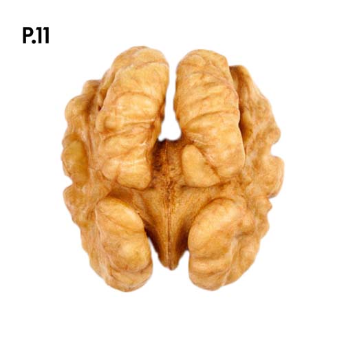 Přírodopis_motiv11.jpg Přírodopis_motiv11.jpg